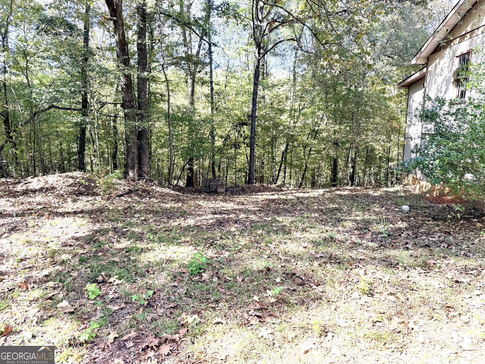 0 Towaliga South Road Jackson - 3