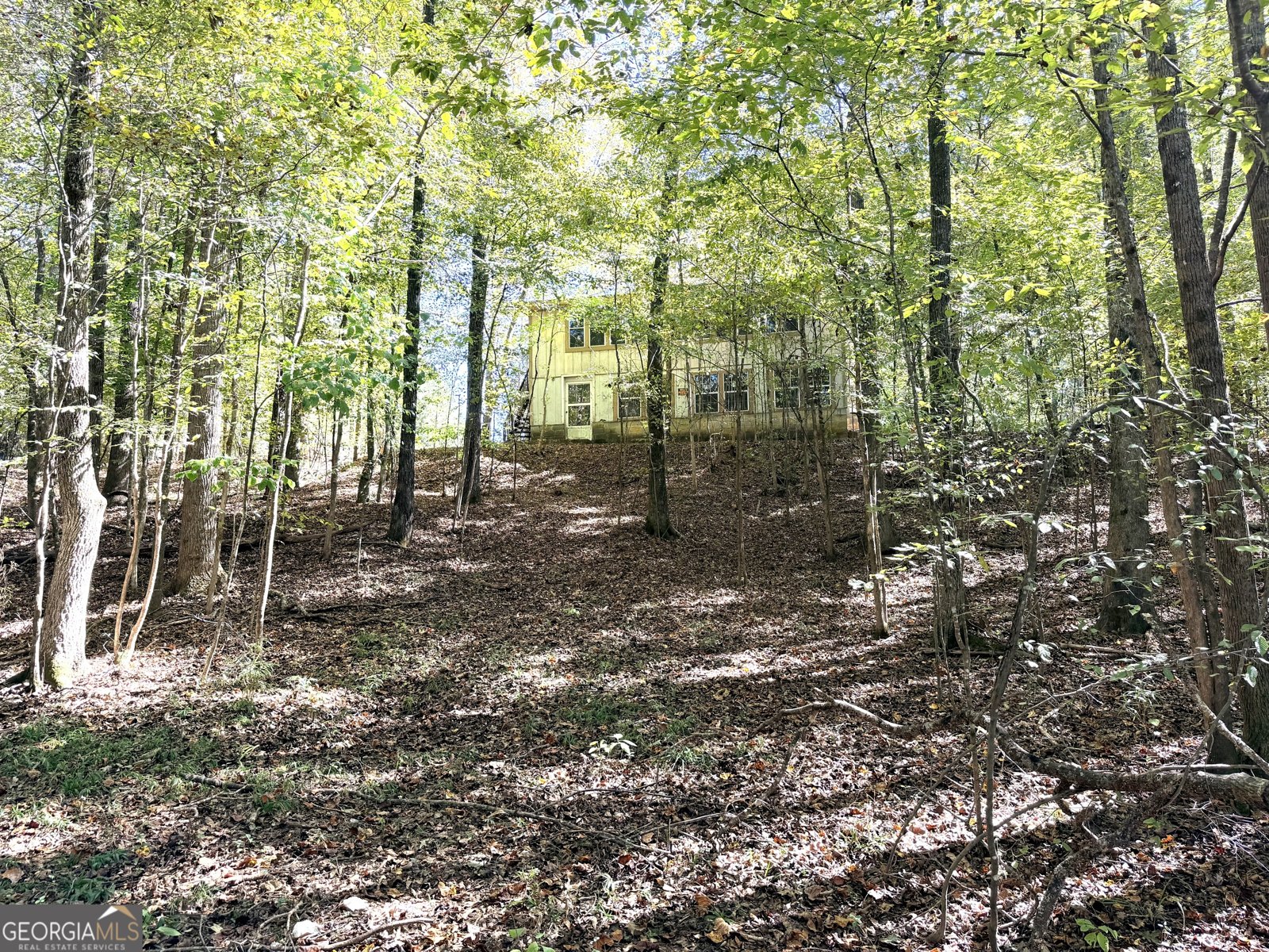 0 Towaliga South Road Jackson - 4