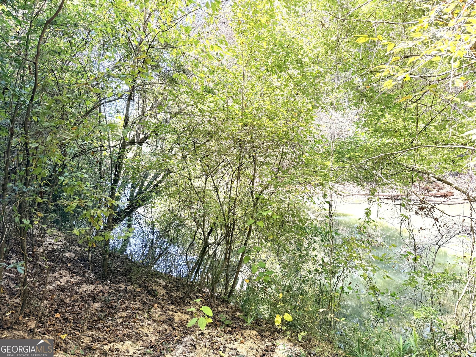 0 Towaliga South Road Jackson - 5