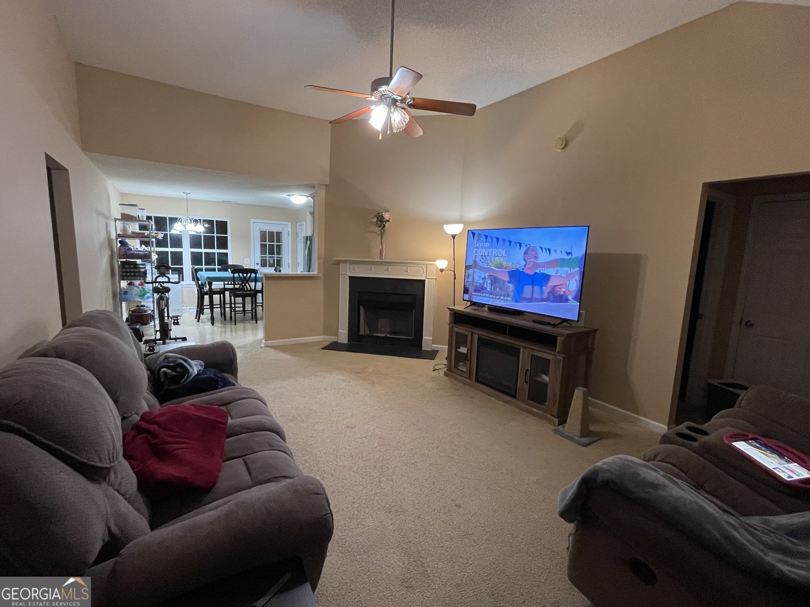 7 Crest View Circle Carnesville - 11