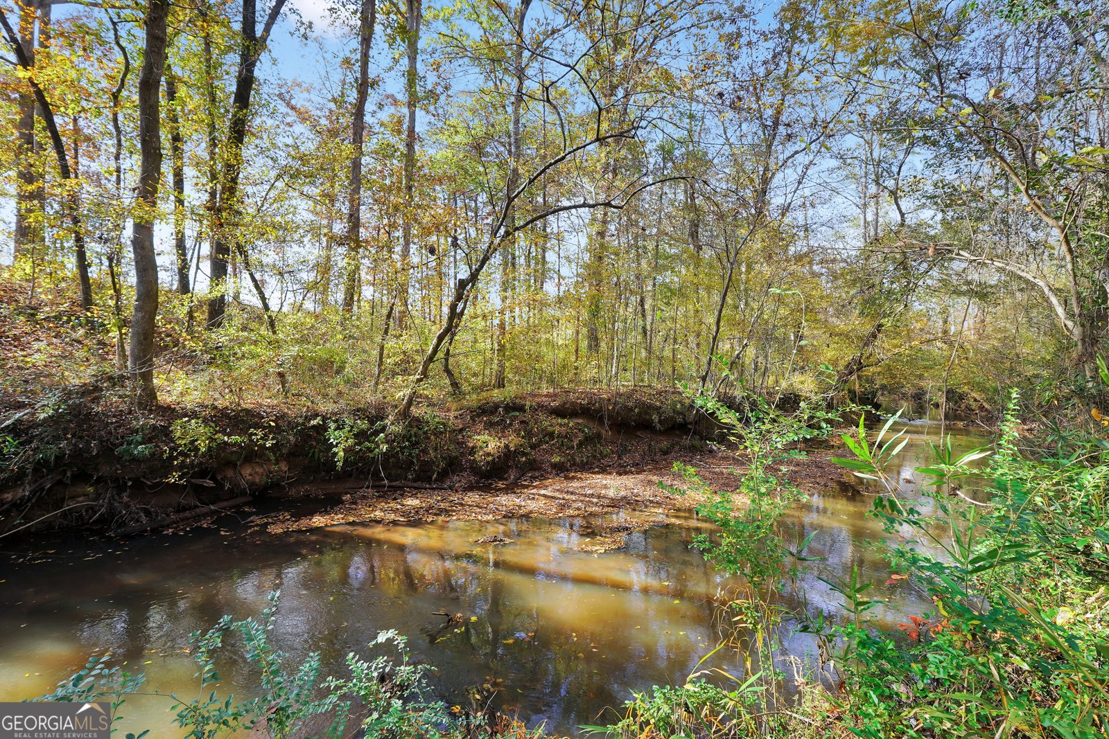 196 Magnolia Trace Milner - 47