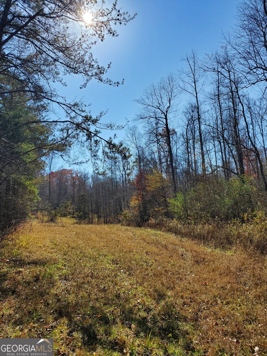 1116 Cody Road Mount Airy - 13