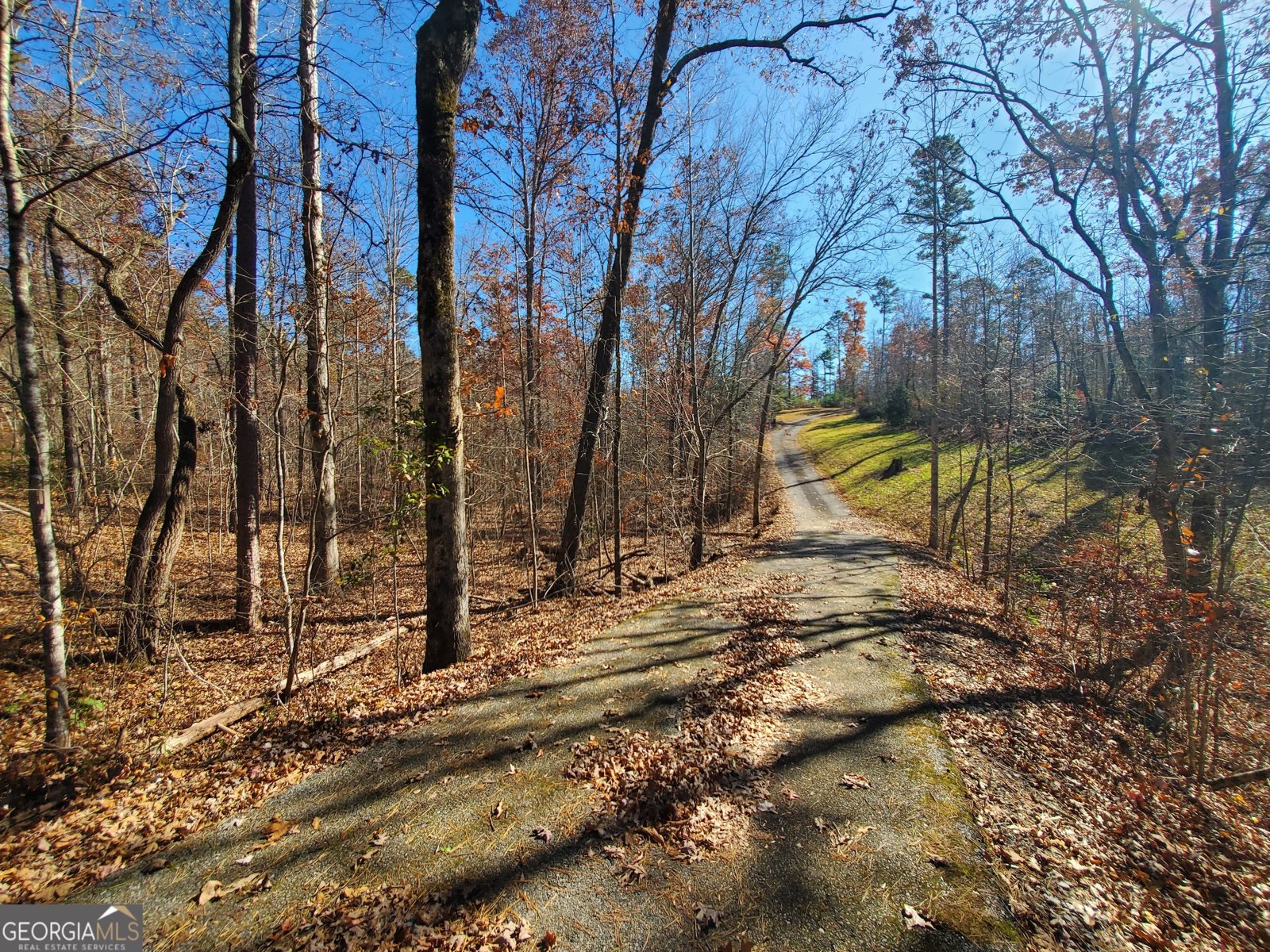 1116 Cody Road Mount Airy - 18