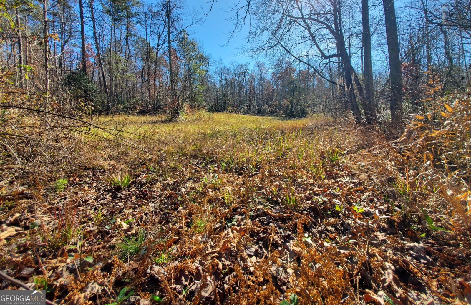 1116 Cody Road Mount Airy - 28