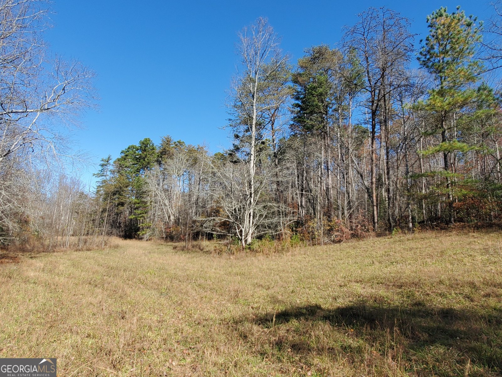 1116 Cody Road Mount Airy - 30