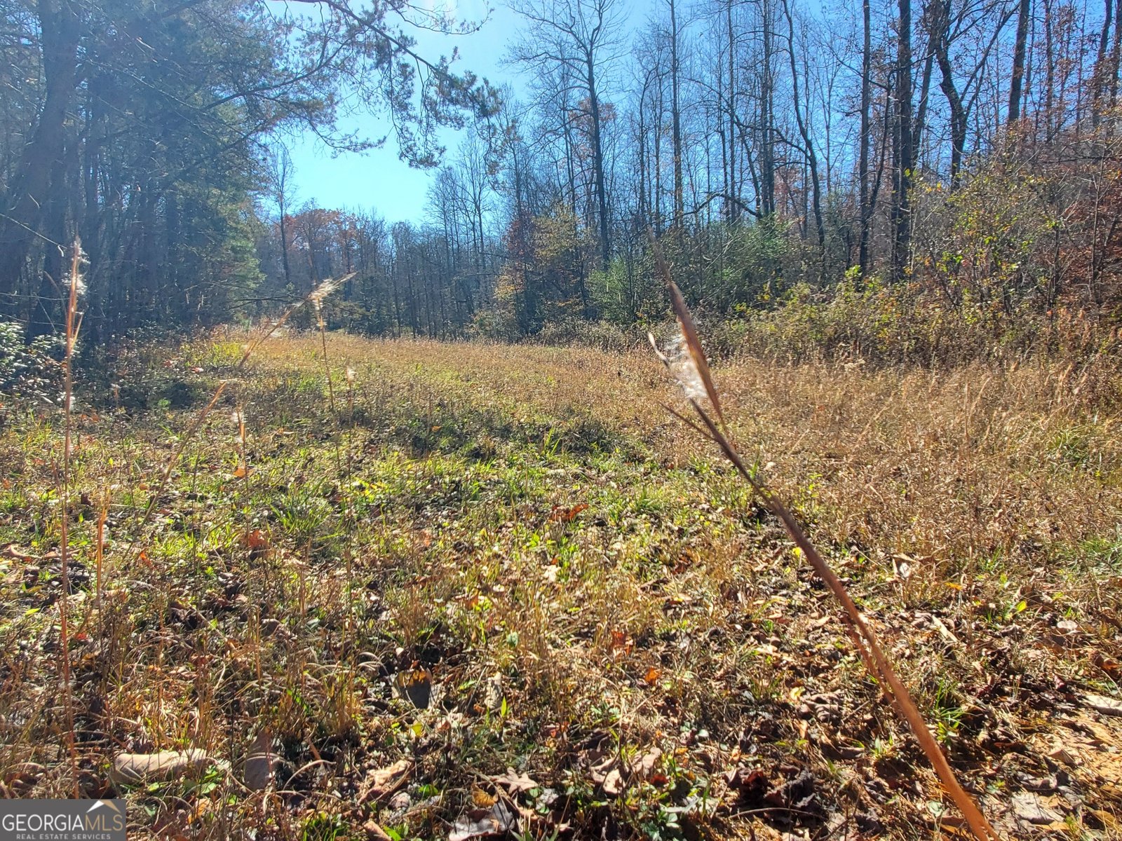 1116 Cody Road Mount Airy - 31