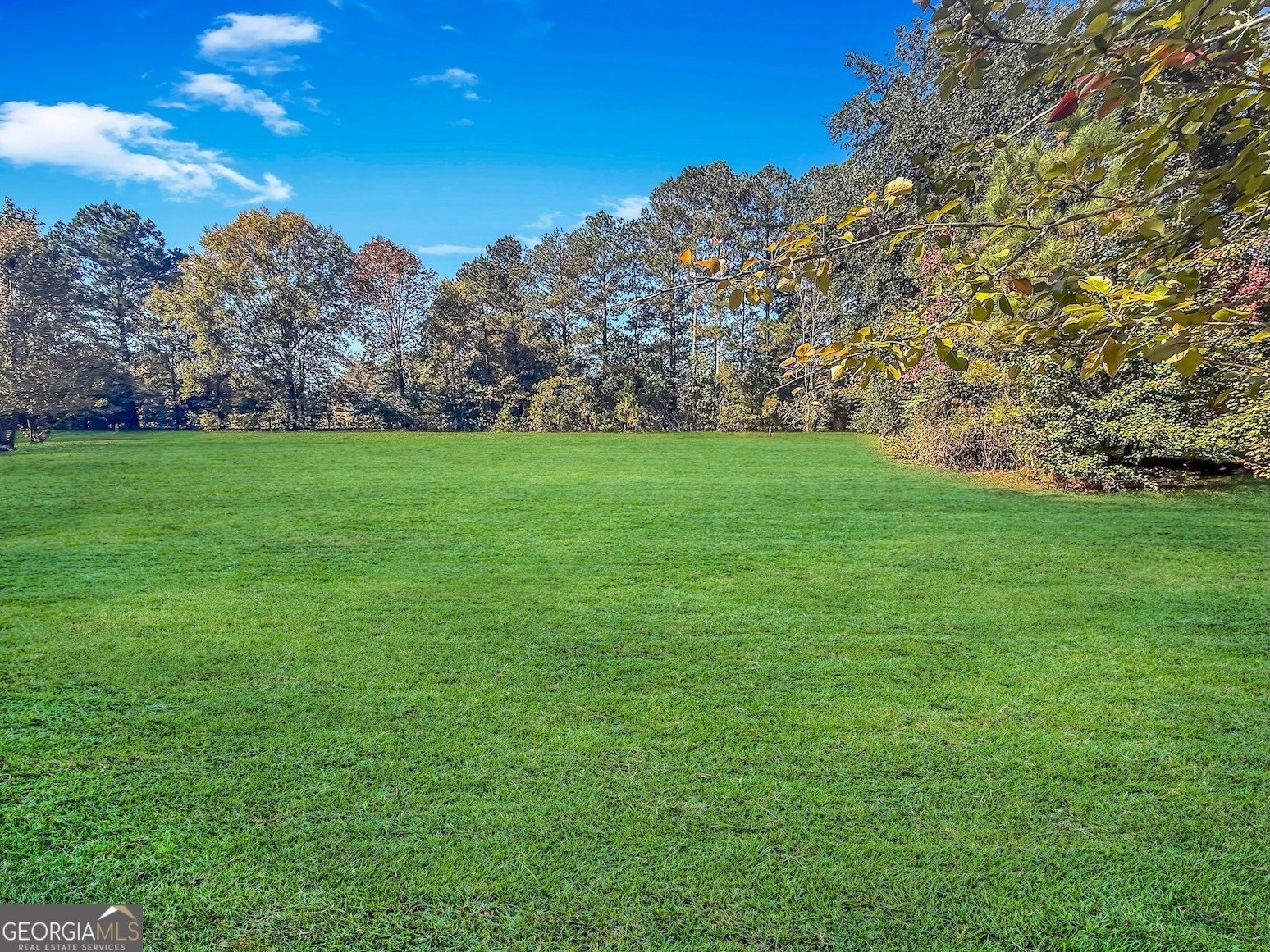 113 Southfork Drive Macon - 30