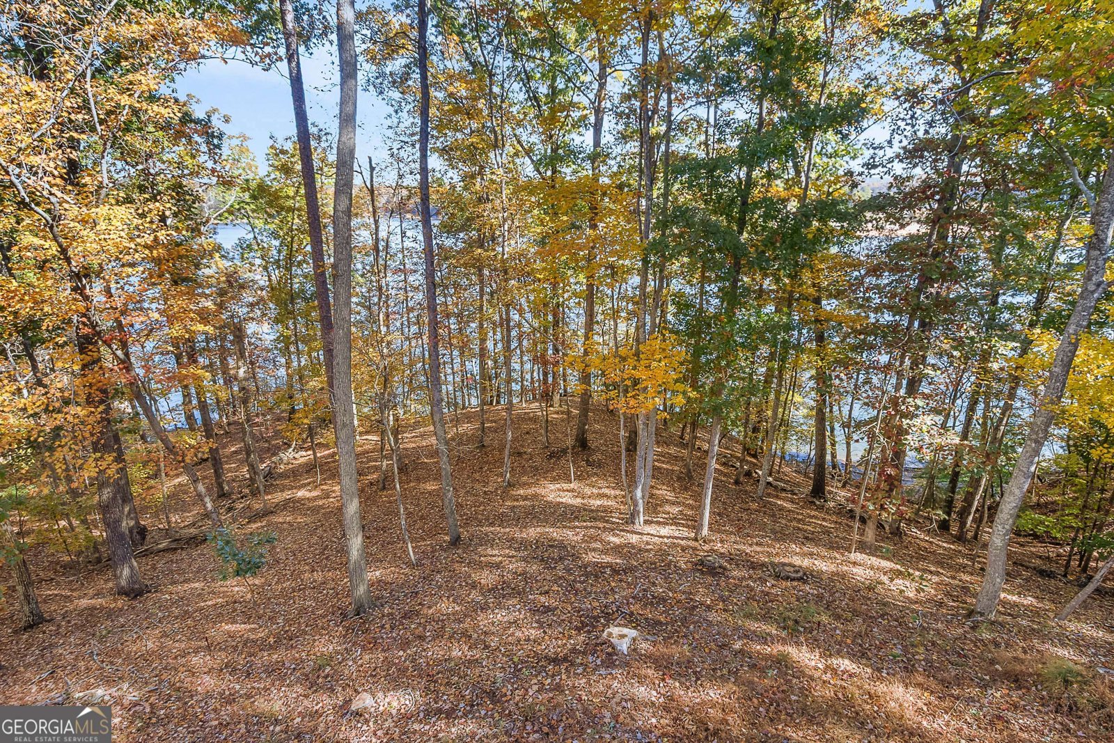 3150 Edgewater Drive Gainesville - 30