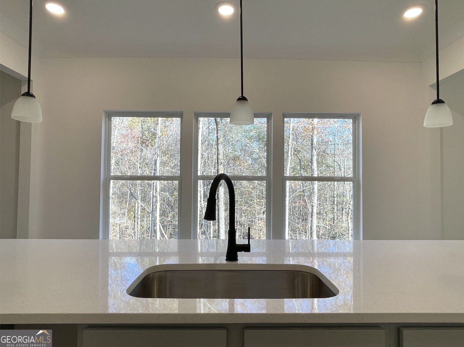 629 Hunter Welch Parkway Luthersville - 6