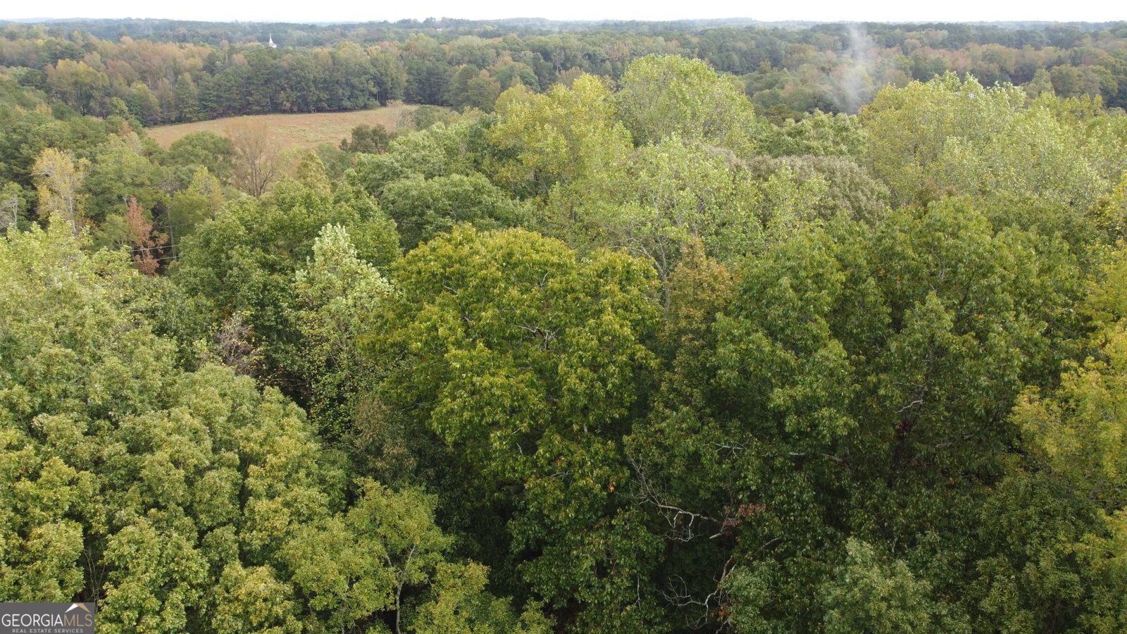 243 Oak Drive Lagrange - 11