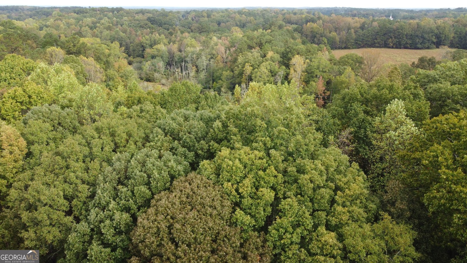 243 Oak Drive Lagrange - 12