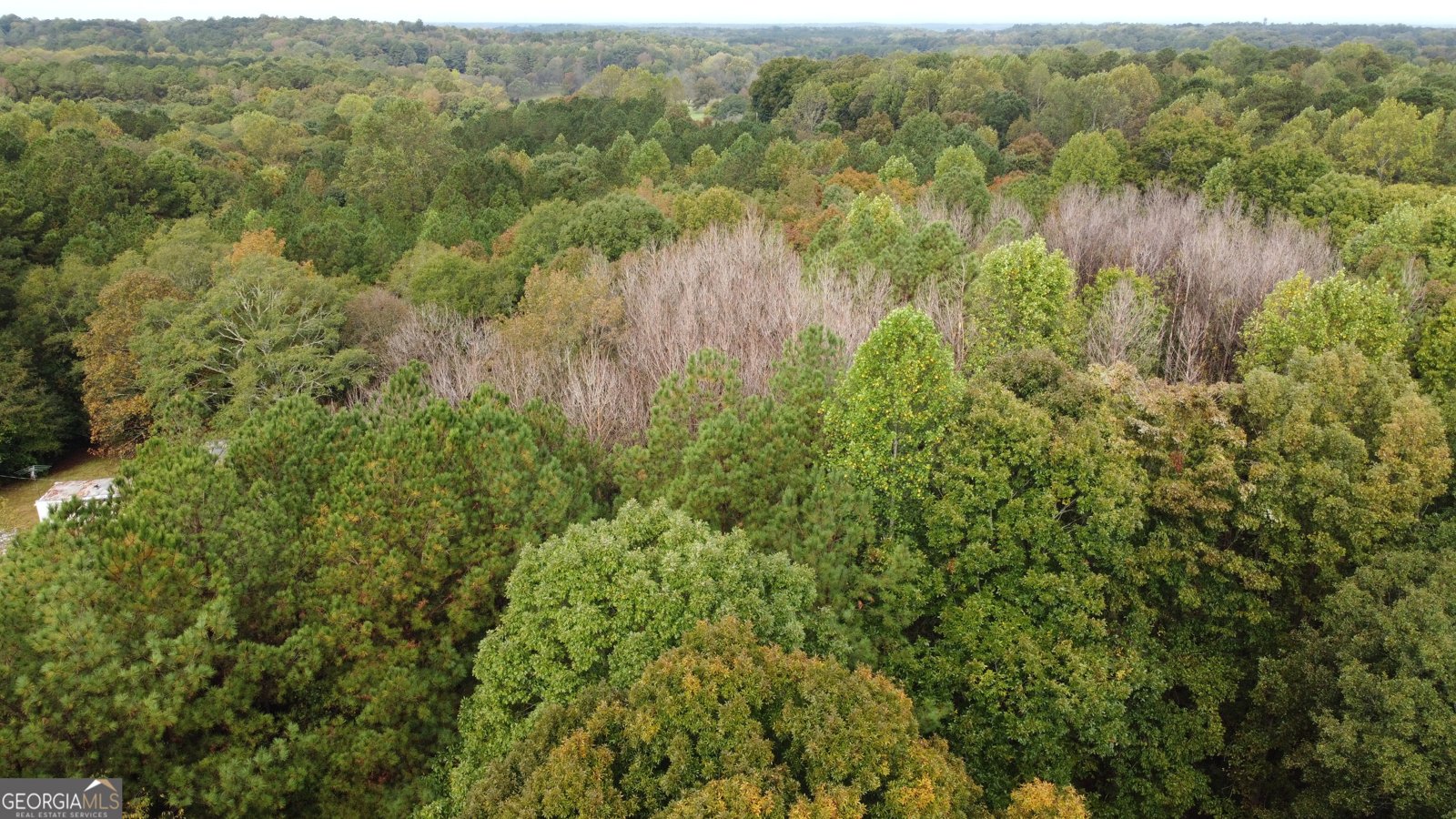 243 Oak Drive Lagrange - 13