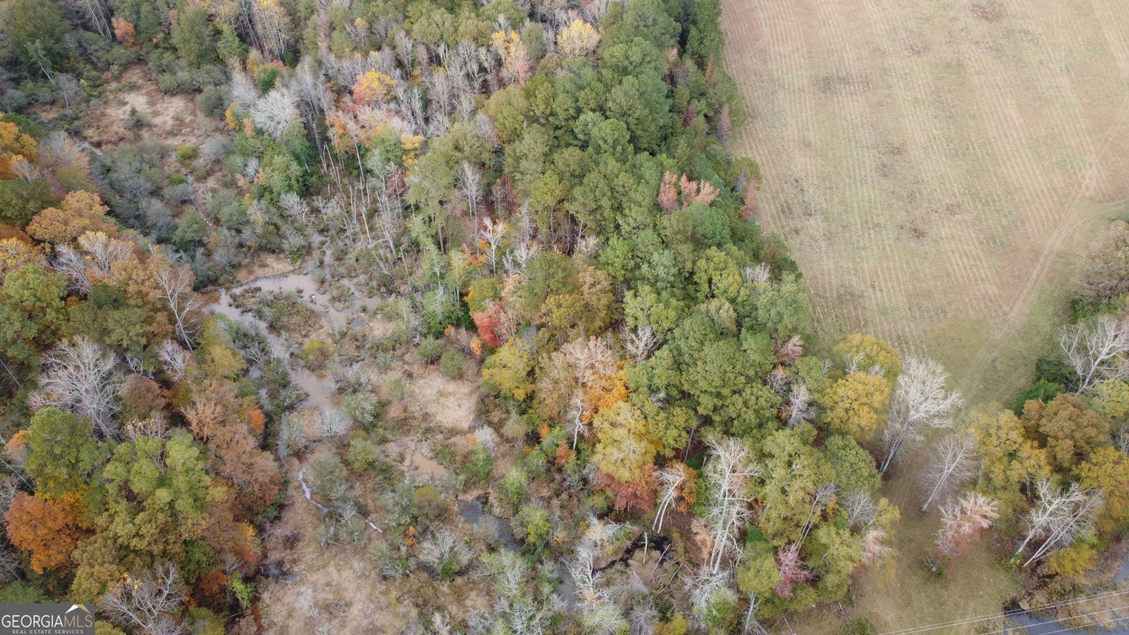 243 Oak Drive Lagrange - 22