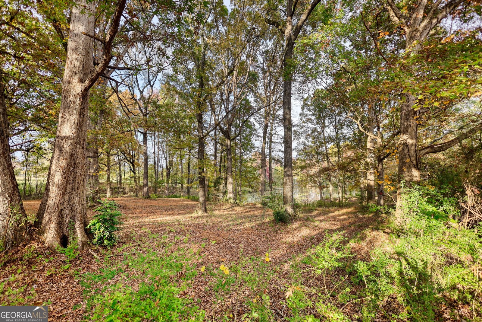 131 Upchurch Drive Mcdonough - 28