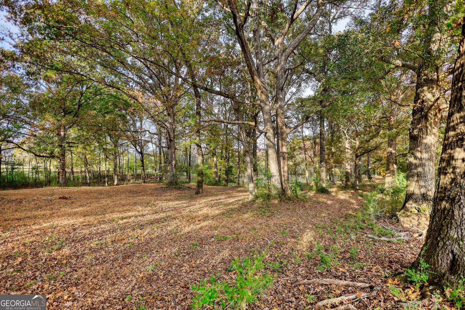 131 Upchurch Drive Mcdonough - 30