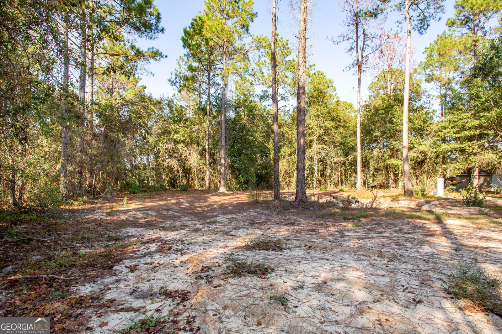 4858 Stanfield Circle Blackshear - 4