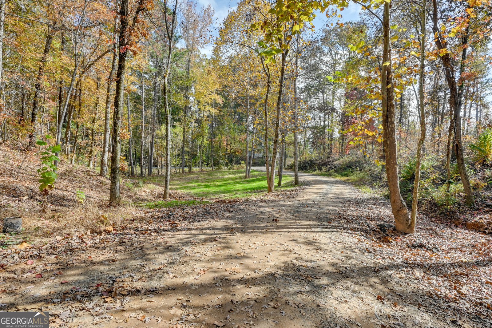 117 Woodhollow Drive Griffin - 4