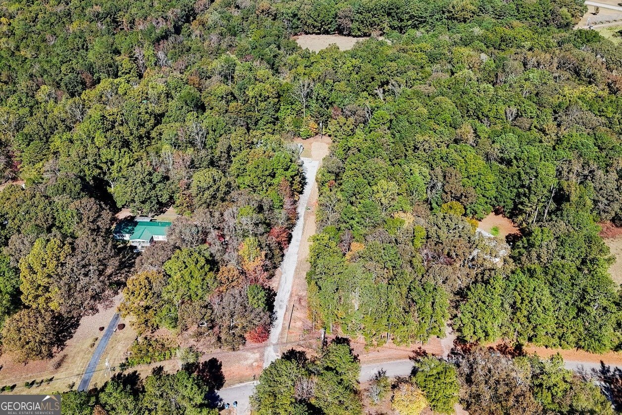 1611 Laney Road Locust Grove - 28