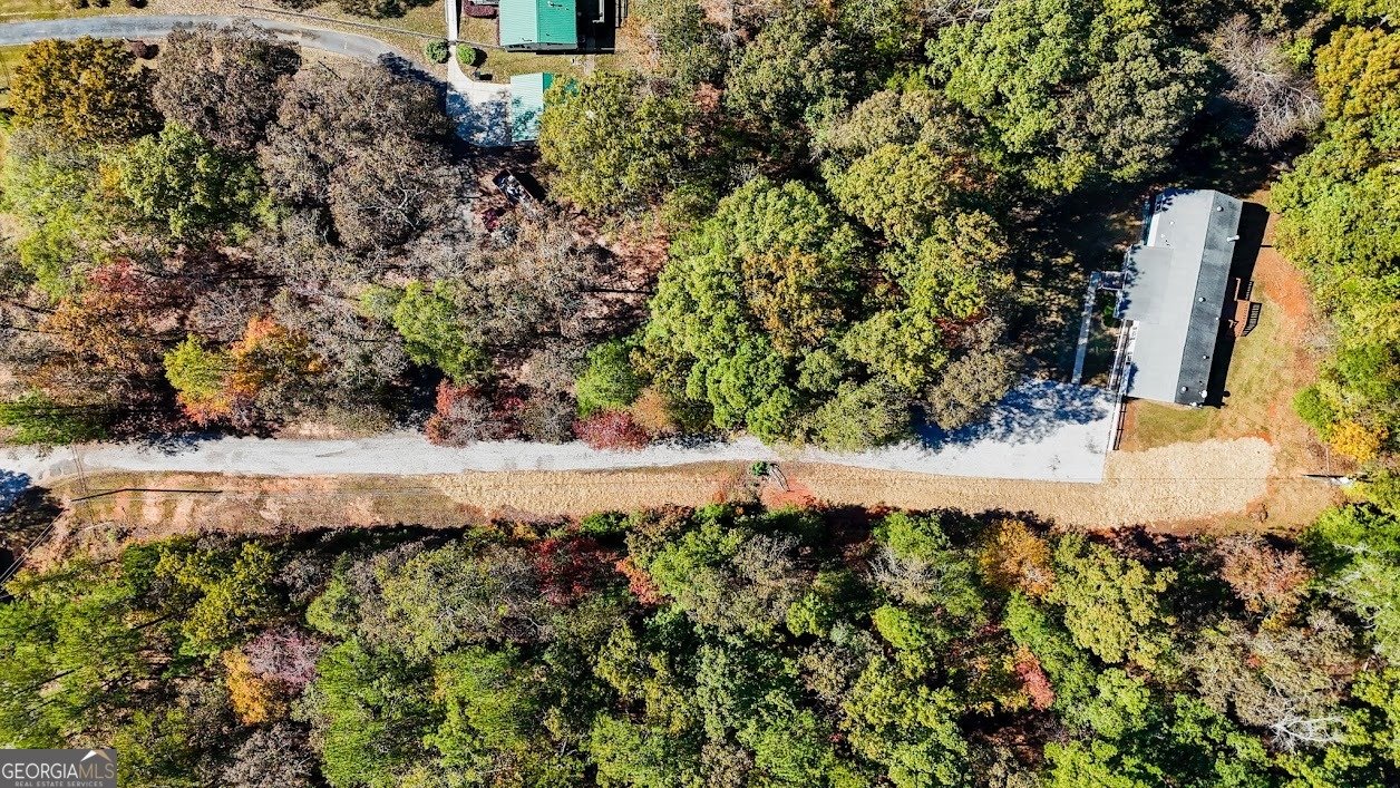 1611 Laney Road Locust Grove - 31