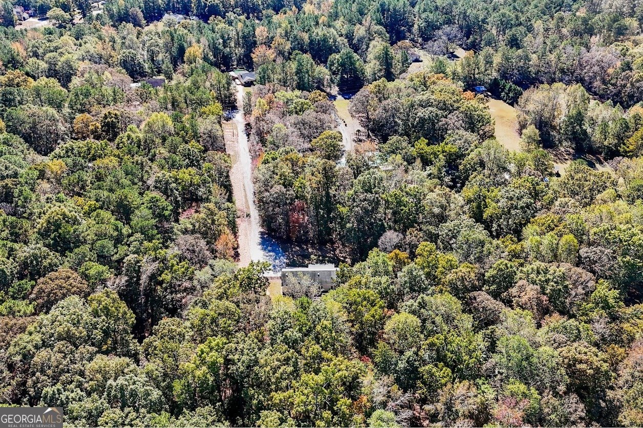 1611 Laney Road Locust Grove - 32