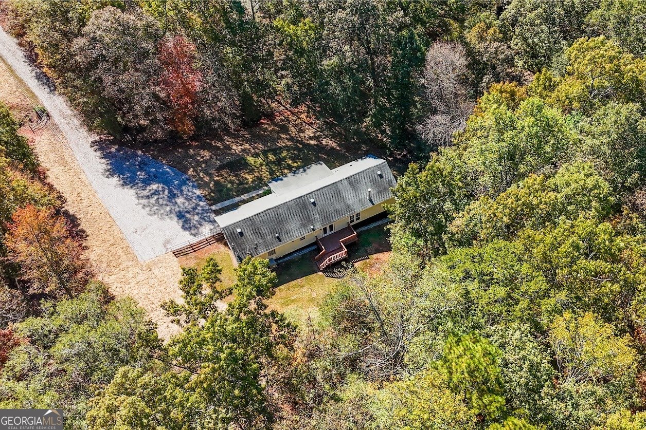 1611 Laney Road Locust Grove - 34