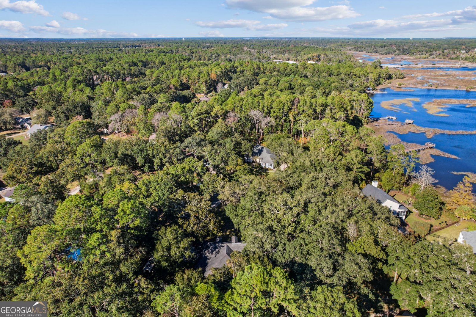 110 New Hammock Circle St. Marys - 73