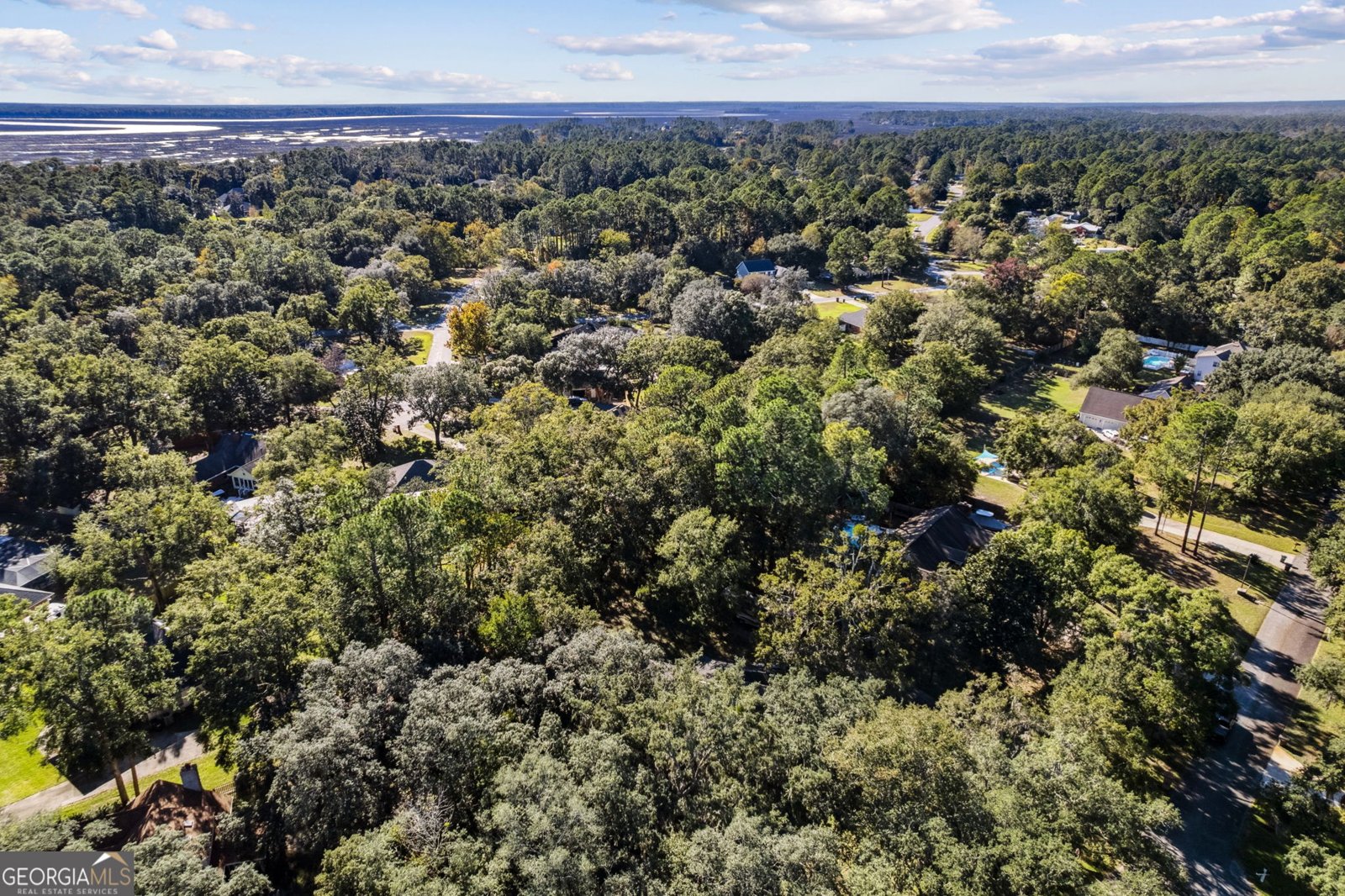 110 New Hammock Circle St. Marys - 75