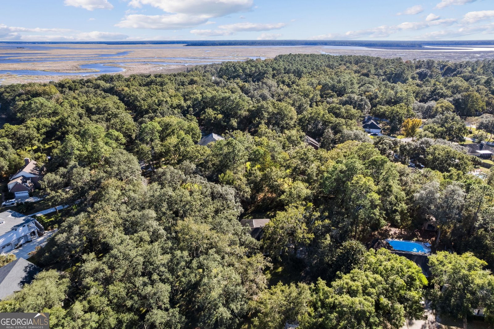 110 New Hammock Circle St. Marys - 77