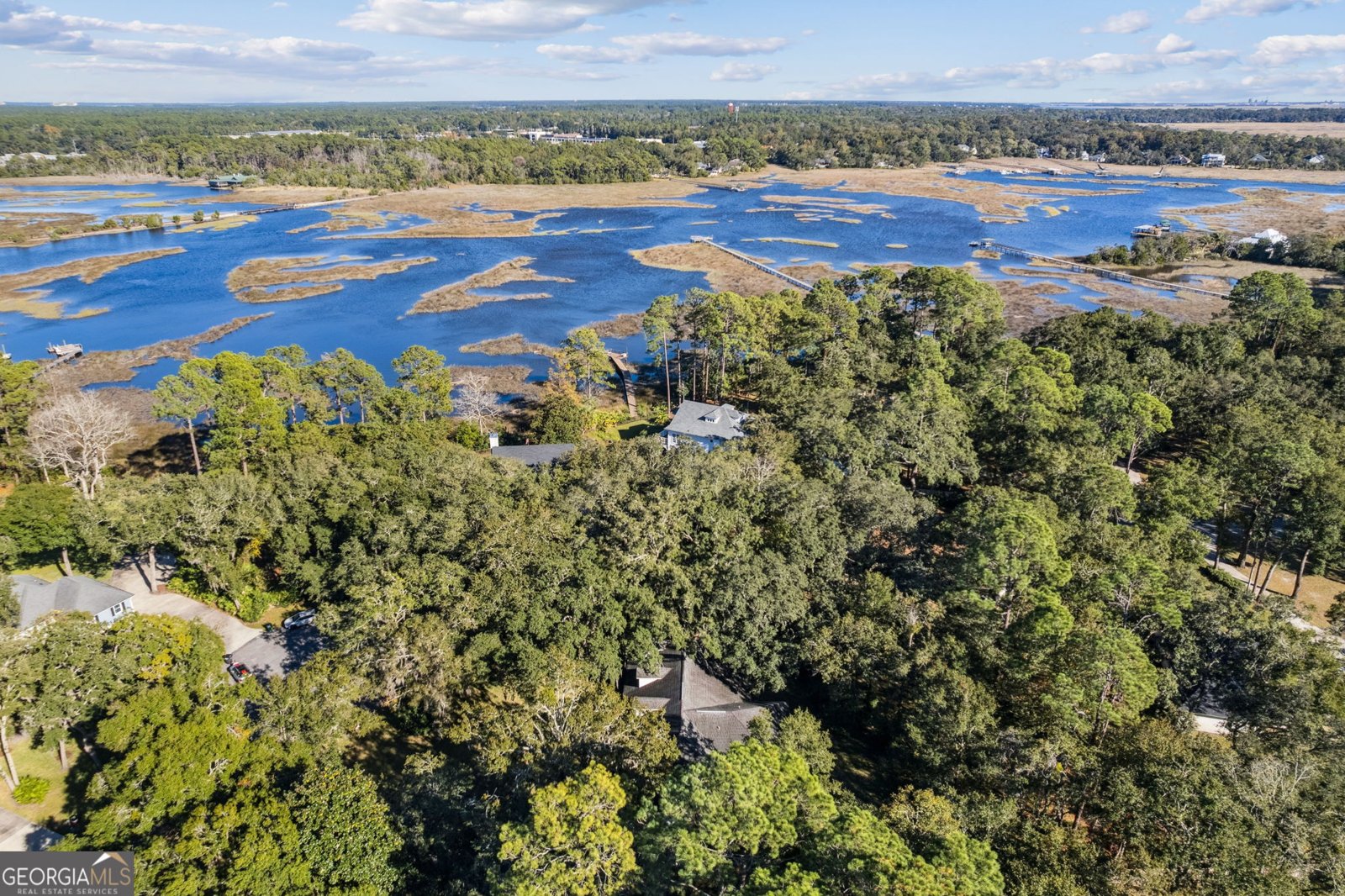 110 New Hammock Circle St. Marys - 79