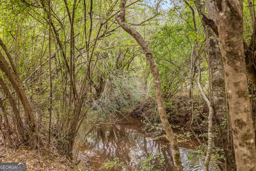 1820 Salem Road Lagrange - 46