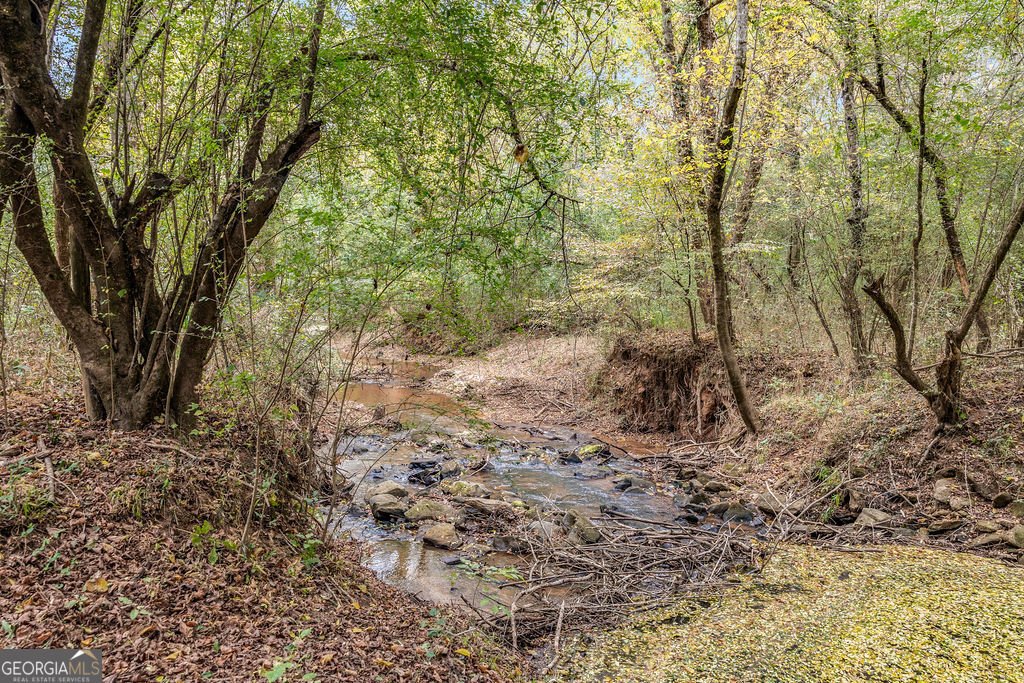 1820 Salem Road Lagrange - 48