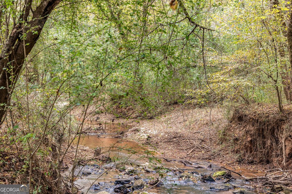 1820 Salem Road Lagrange - 49