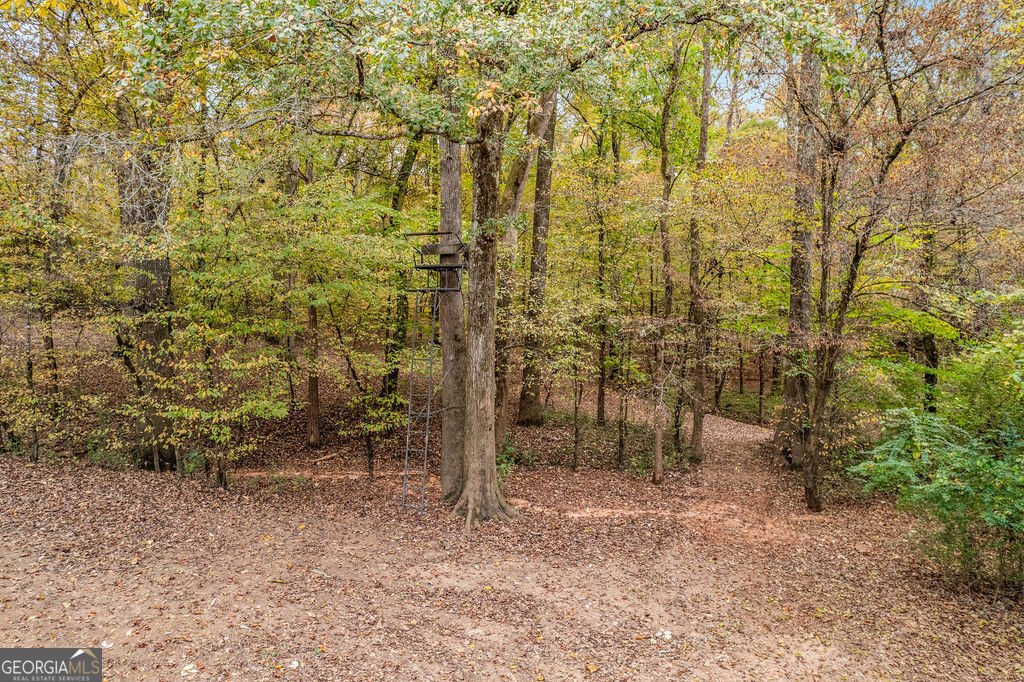 1820 Salem Road Lagrange - 63