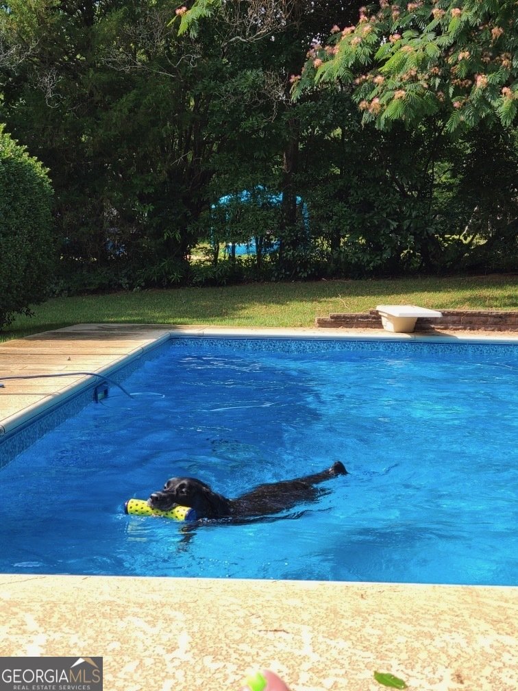 119 Summerfield Drive McDonough - 18