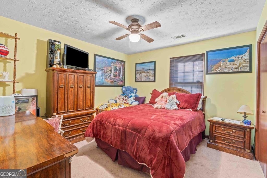 119 Summerfield Drive McDonough - 4