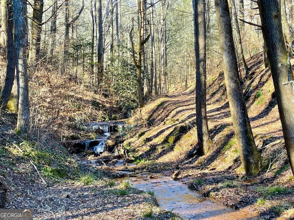 18 Corinth Church Road Cleveland - 19