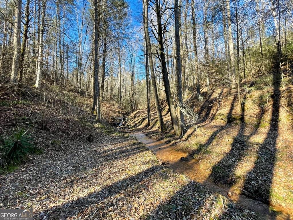 18 Corinth Church Road Cleveland - 20