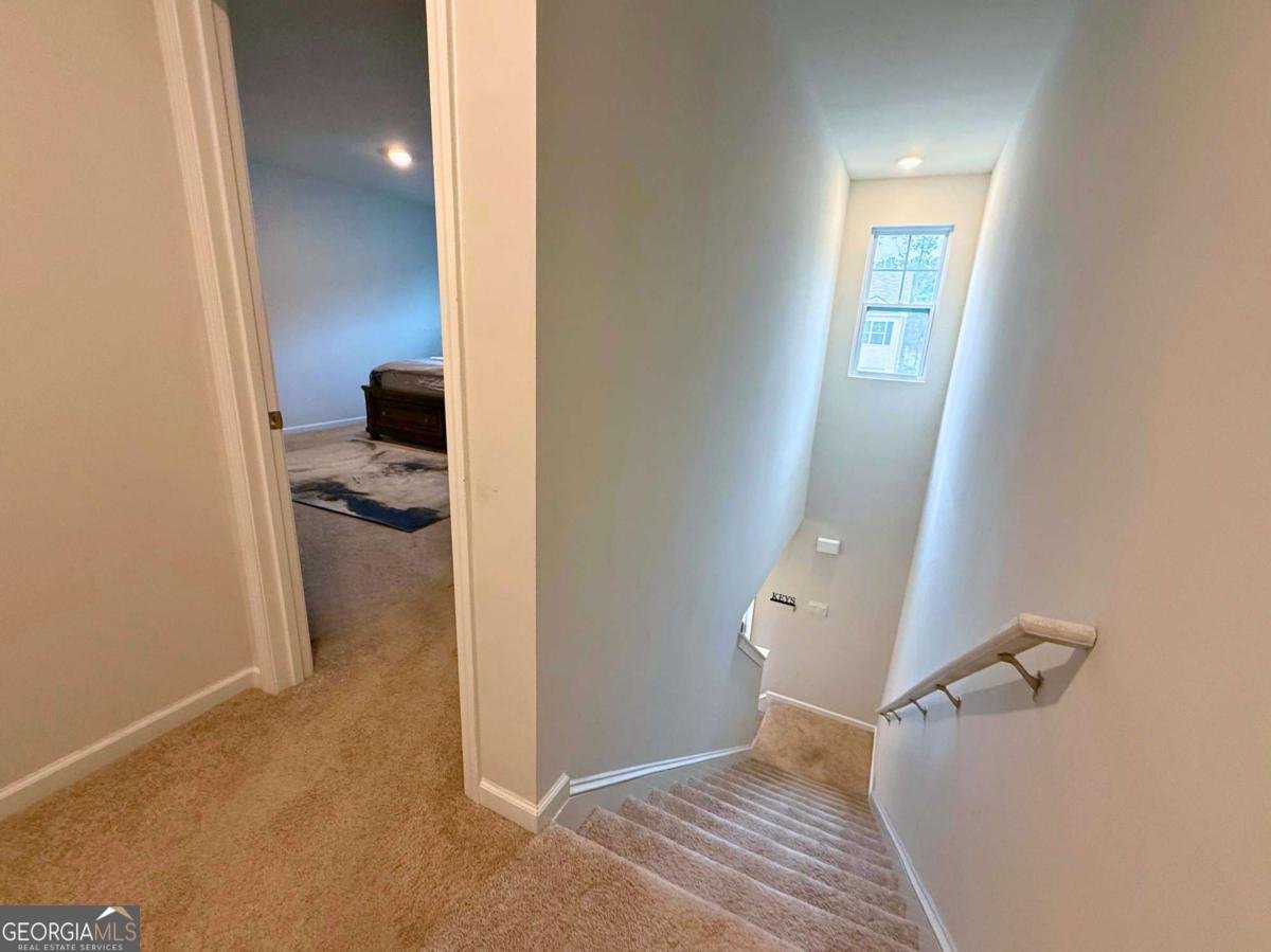 206 Coneflower Road Bloomingdale - 16