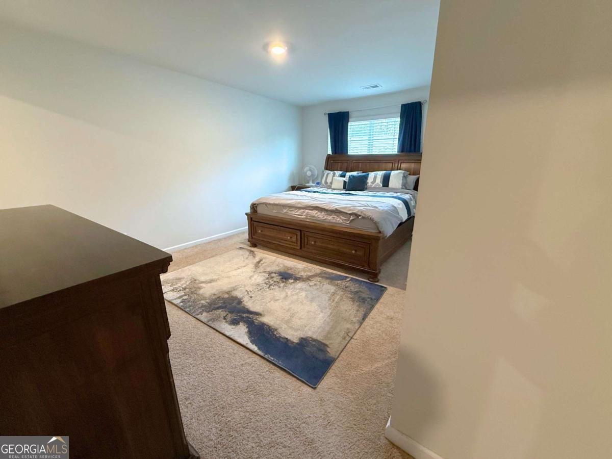 206 Coneflower Road Bloomingdale - 17