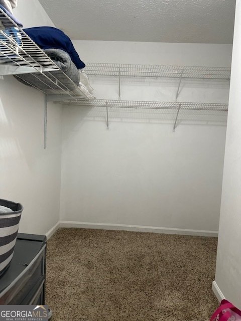 4020 Willow Ridge Road Douglasville - 10