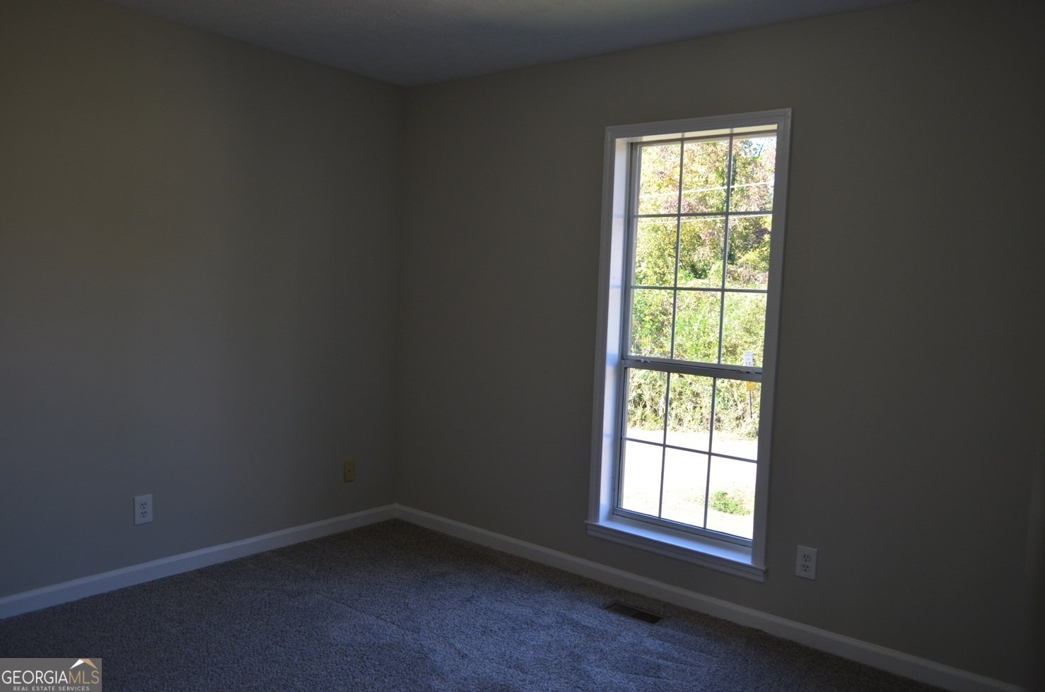 394 Brookwood Drive Forsyth - 10