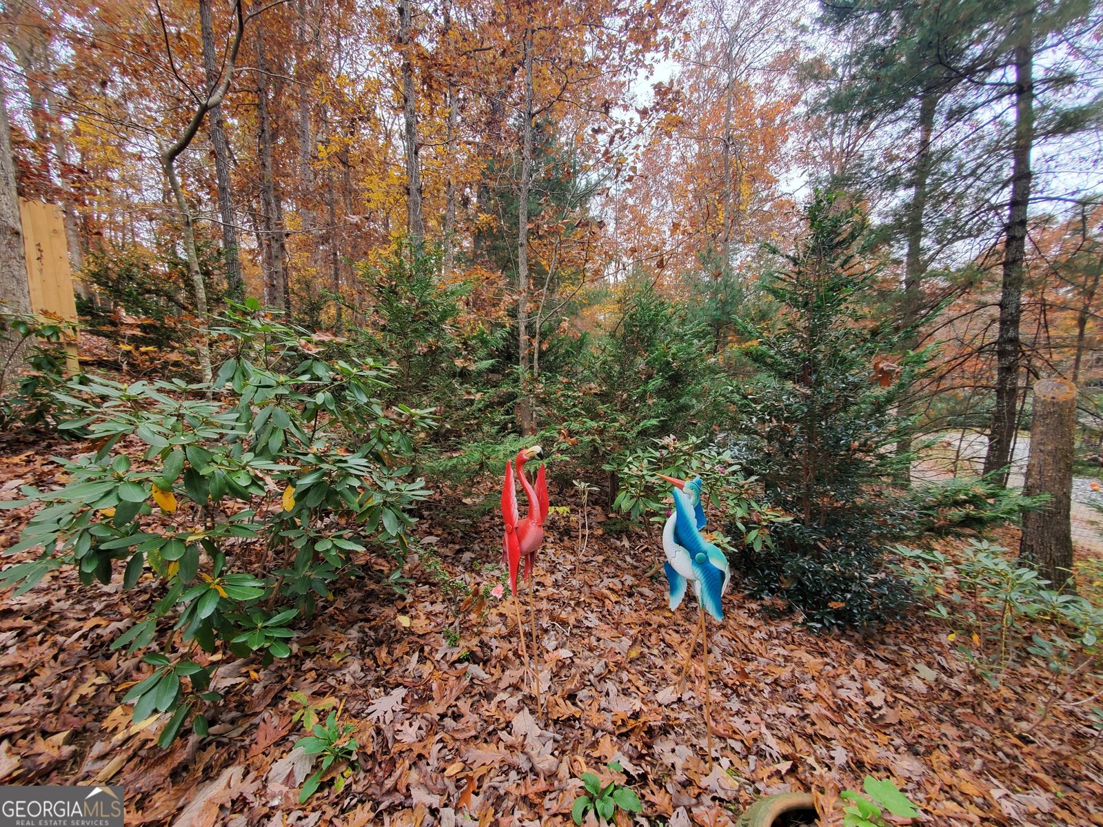 171 Mohawk Trail Ellijay - 10