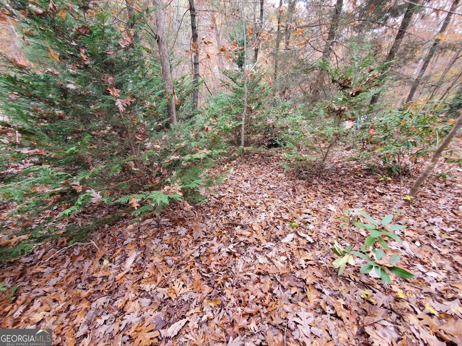 171 Mohawk Trail Ellijay - 13