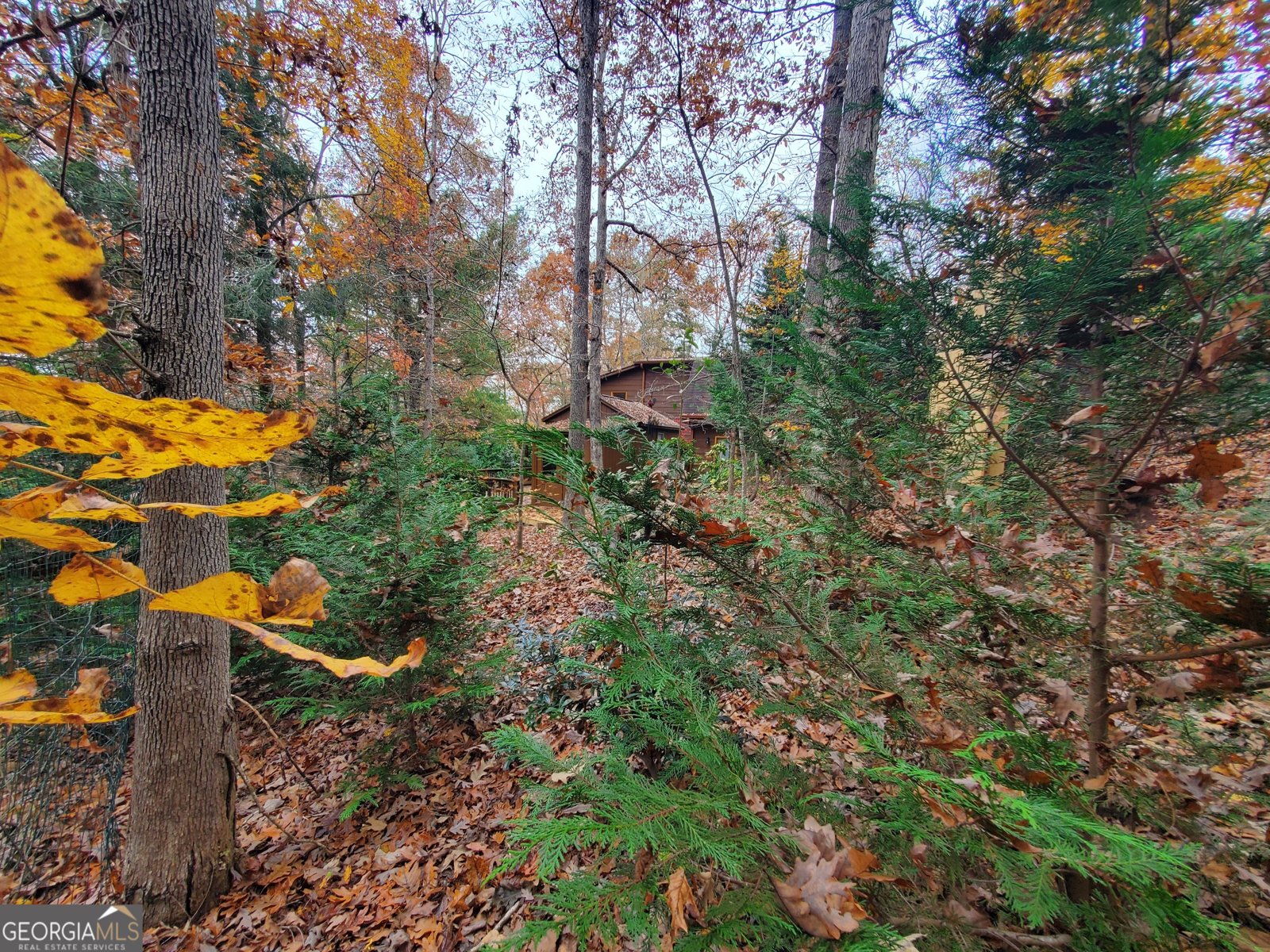 171 Mohawk Trail Ellijay - 14