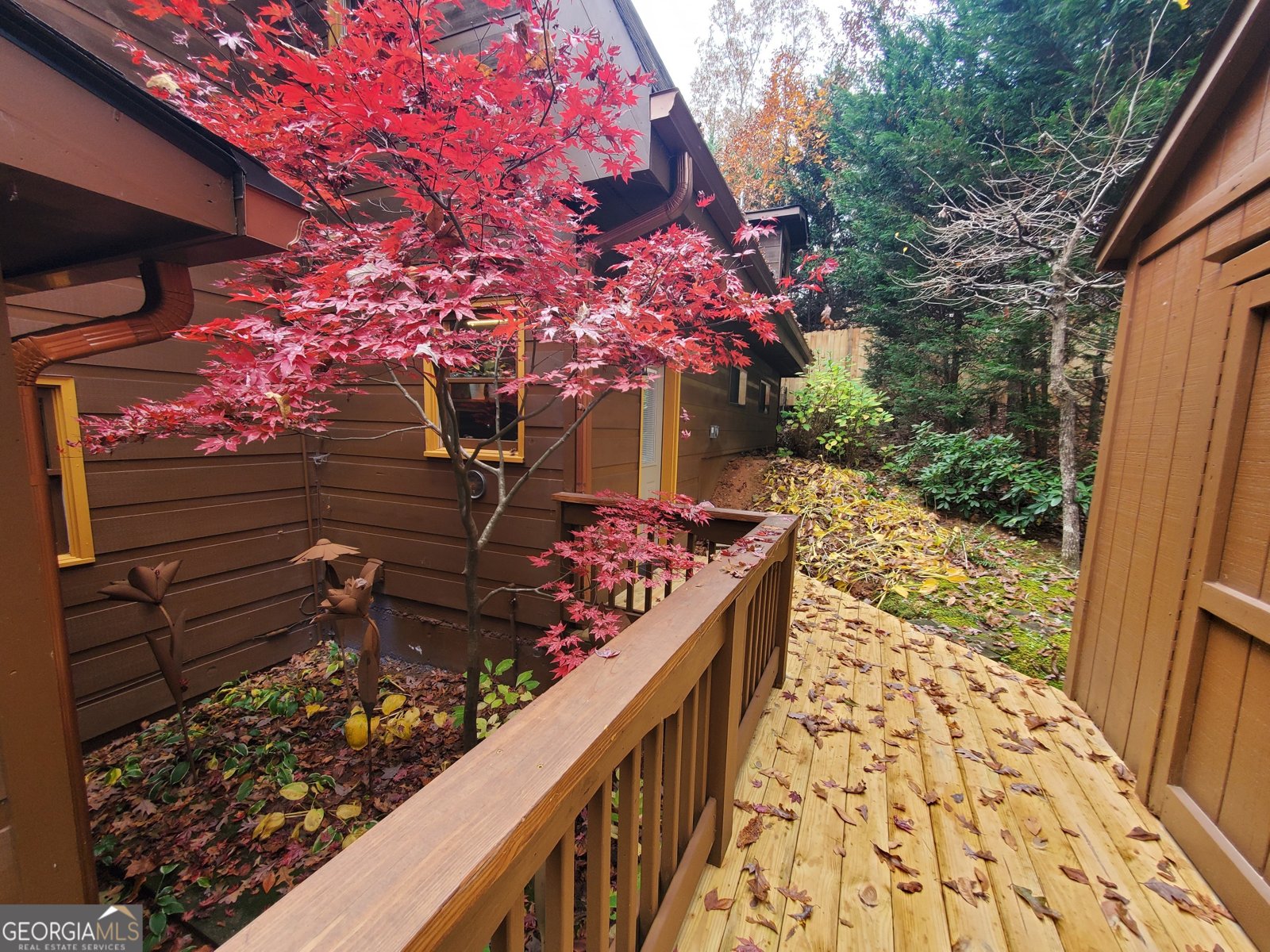 171 Mohawk Trail Ellijay - 16