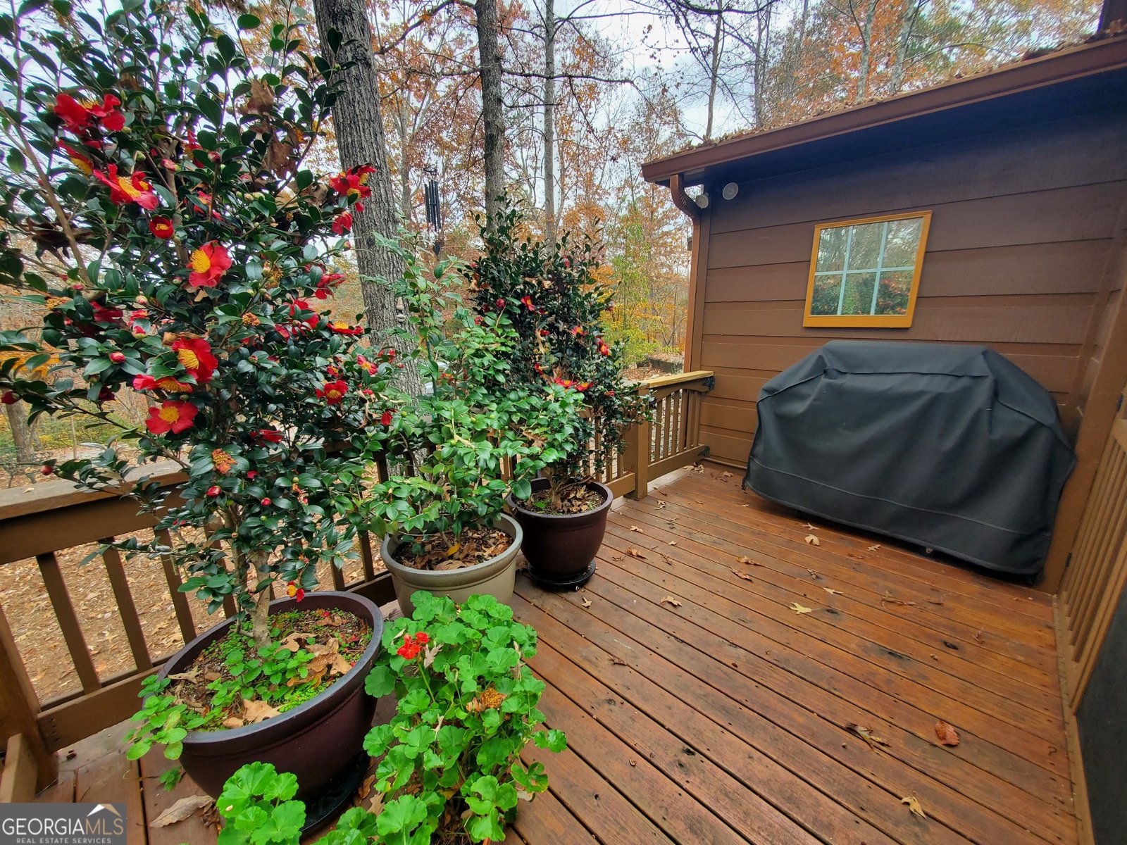 171 Mohawk Trail Ellijay - 18