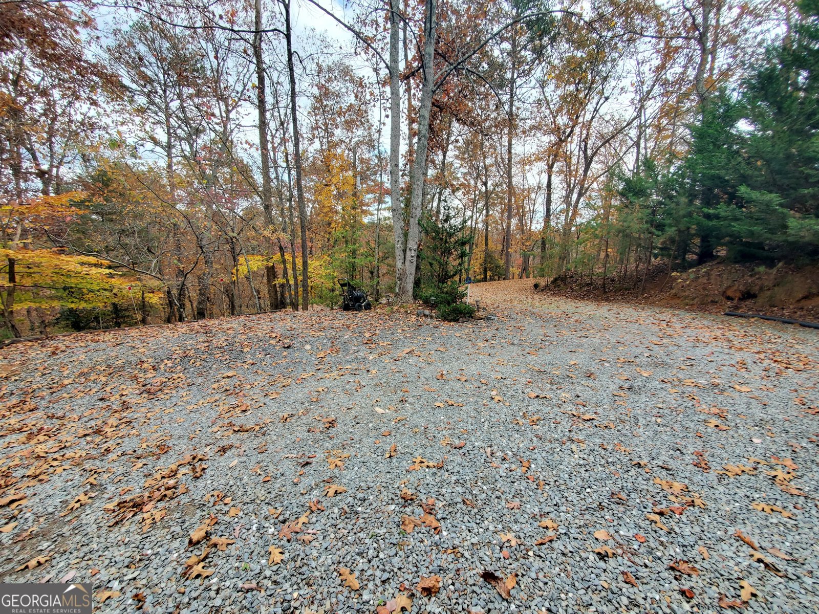 171 Mohawk Trail Ellijay - 20