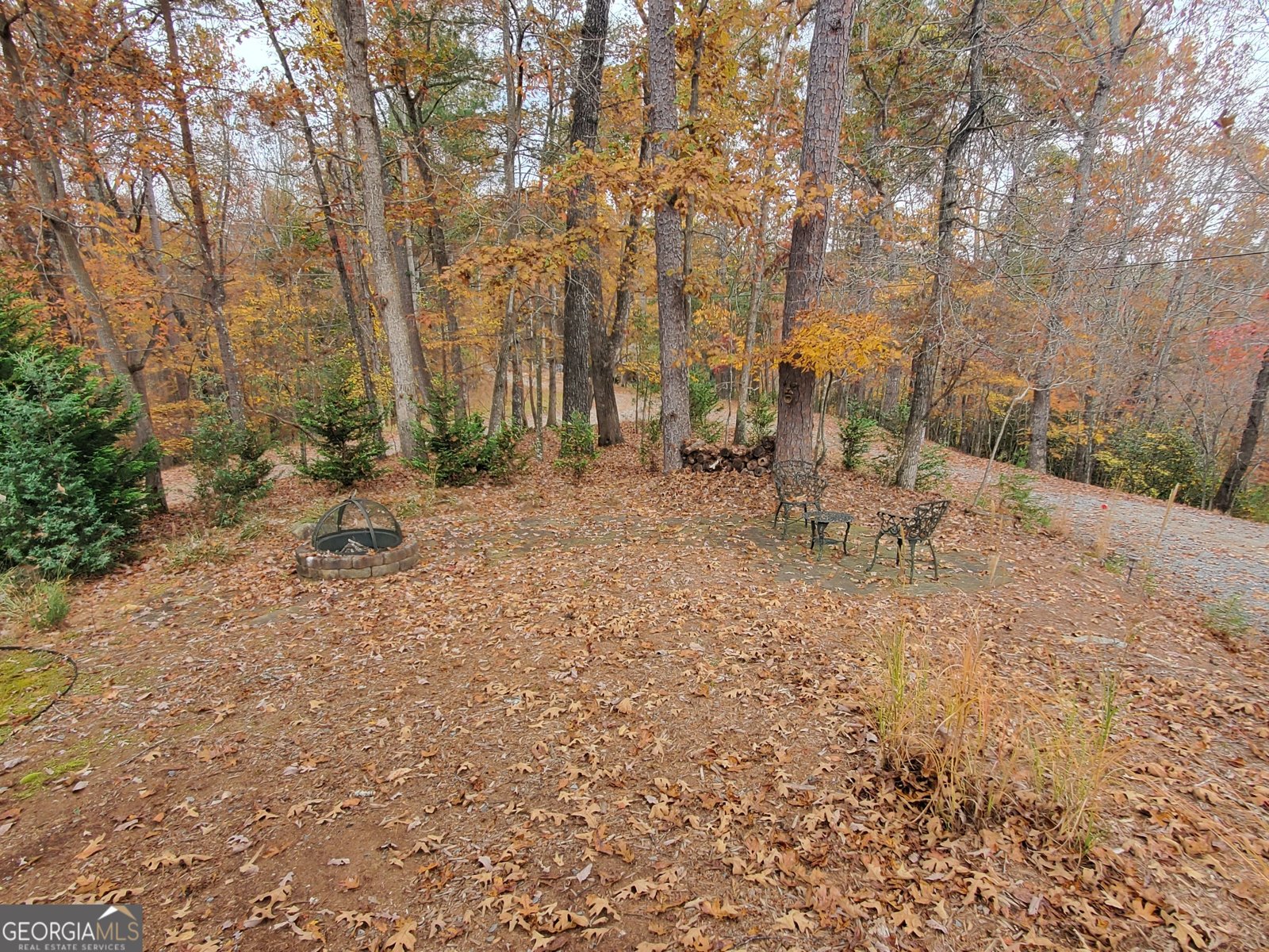 171 Mohawk Trail Ellijay - 21