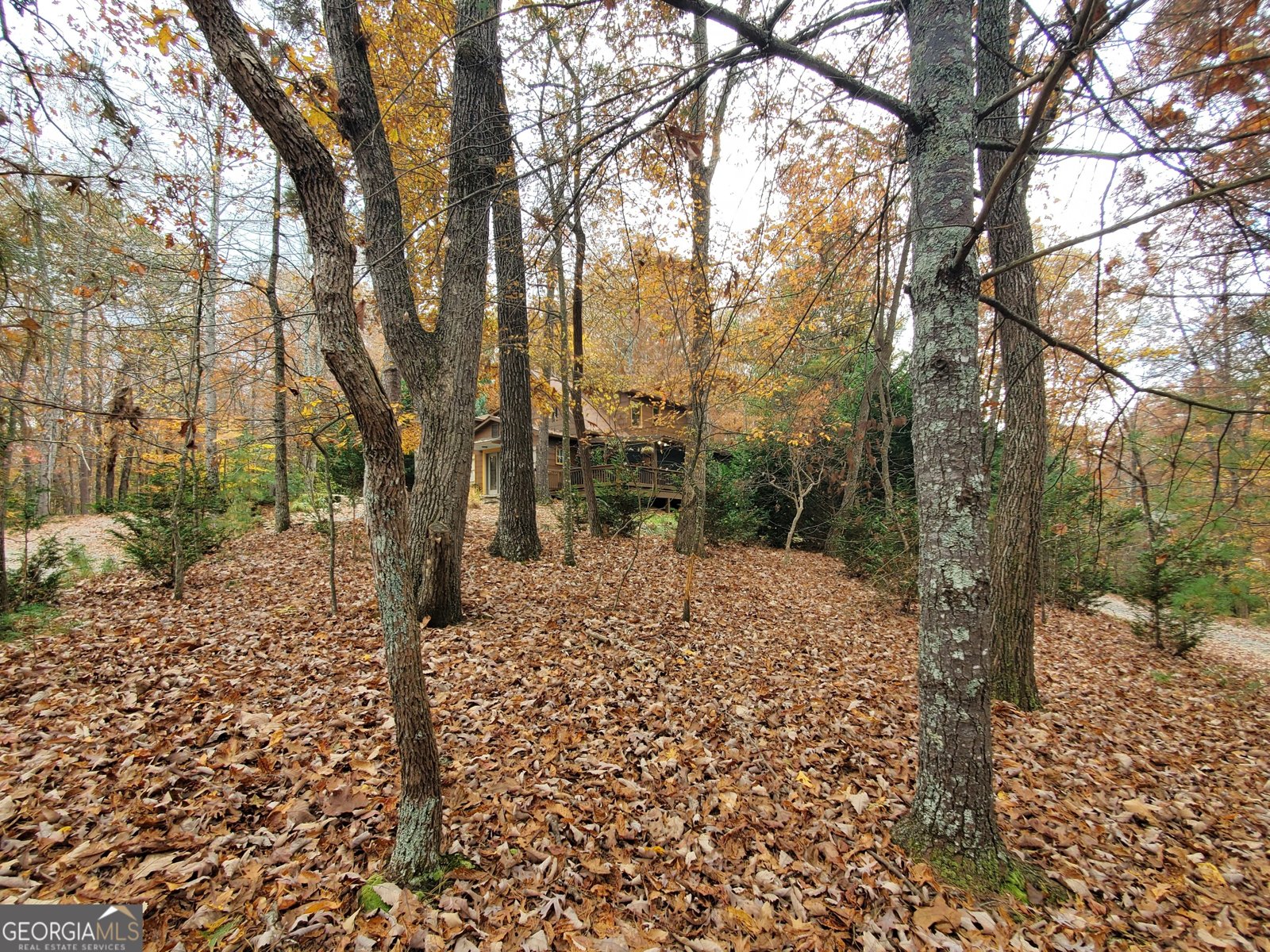 171 Mohawk Trail Ellijay - 27