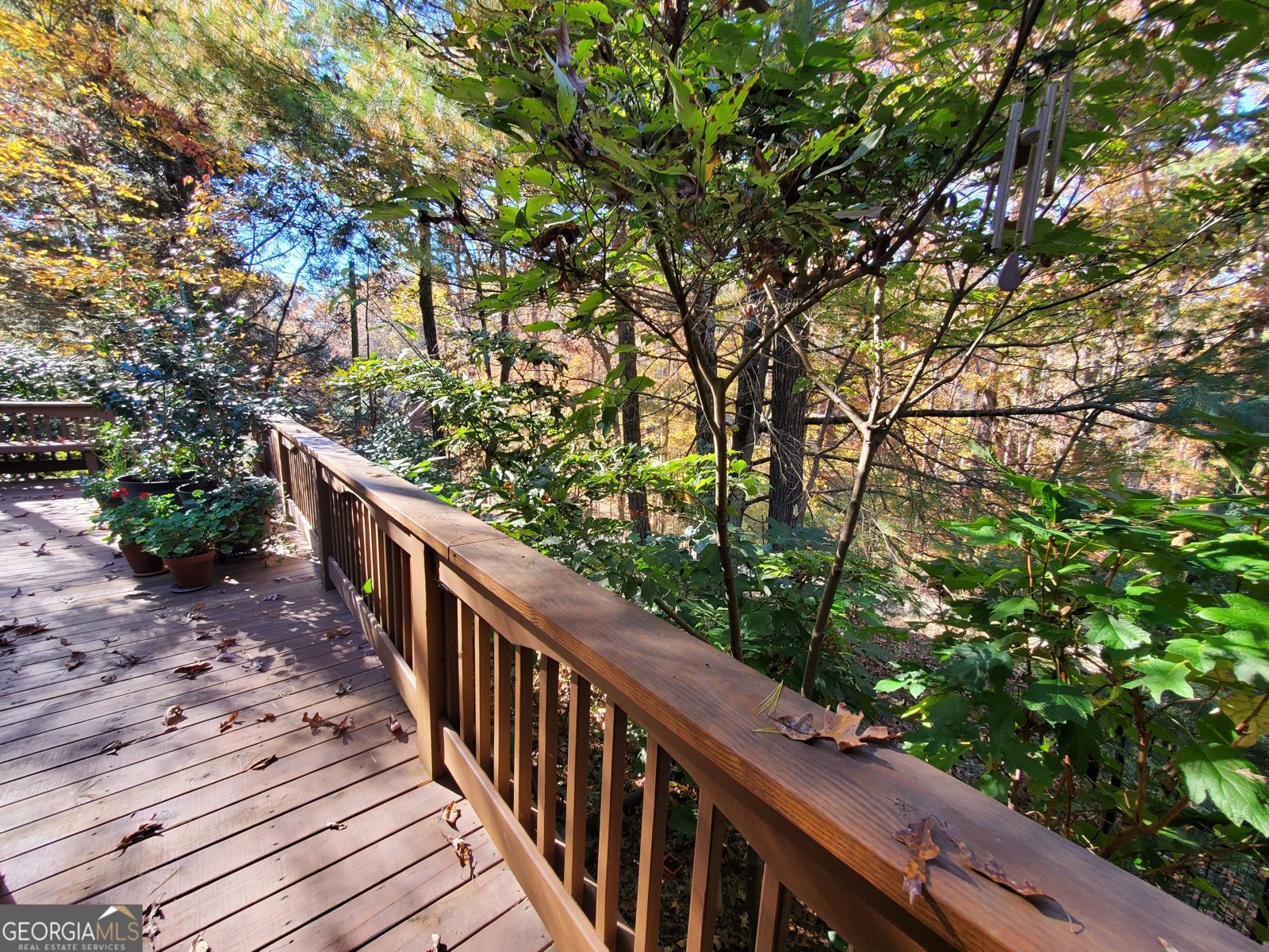 171 Mohawk Trail Ellijay - 3